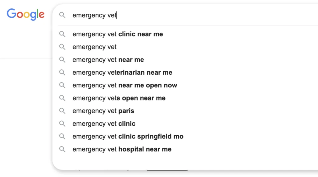 Keyword examples for a vet